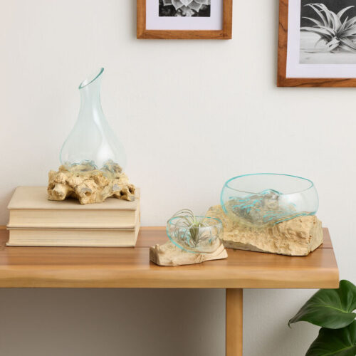 Bleached Driftwood and Blown Glass Decor Collection